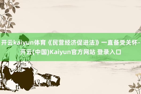 开云kaiyun体育《民营经济促进法》一直备受关怀-开云(中国)Kaiyun官方网站 登录入口