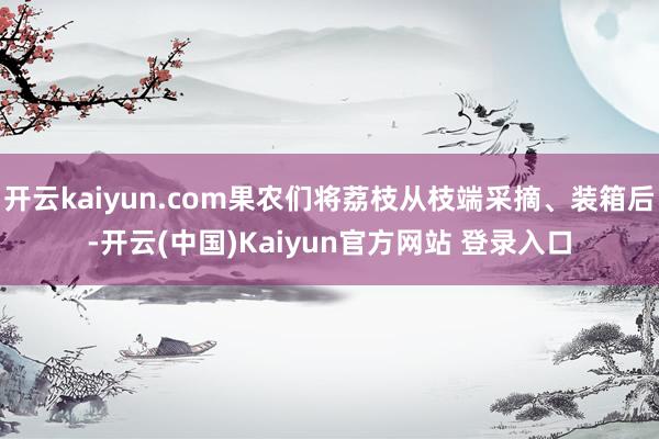 开云kaiyun.com果农们将荔枝从枝端采摘、装箱后-开云(中国)Kaiyun官方网站 登录入口